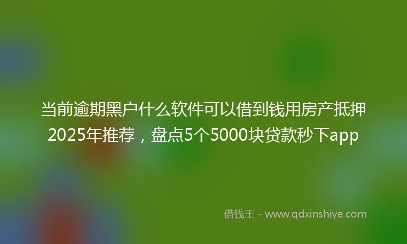 当前逾期黑户什么软件可以借到钱用房产抵押2025年推荐，盘点5个5000块贷款秒下app