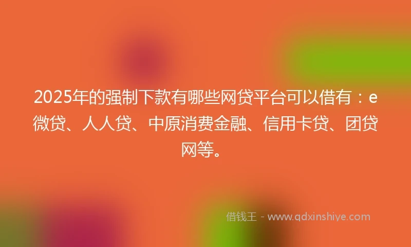 2025年的强制下款有哪些网贷平台可以借有：e微贷、人人贷、中原消费金融、信用卡贷、团贷网等。