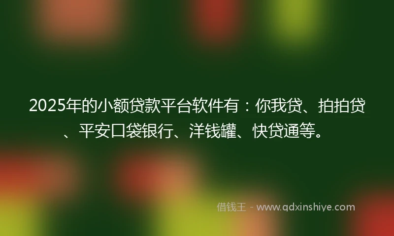 2025年的小额贷款平台软件有：你我贷、拍拍贷、平安口袋银行、洋钱罐、快贷通等。