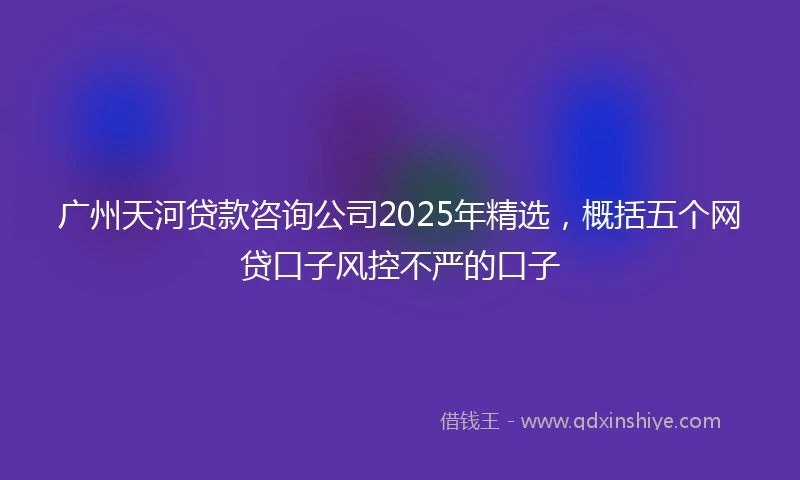 广州天河贷款咨询公司2025年精选，概括五个网贷口子风控不严的口子