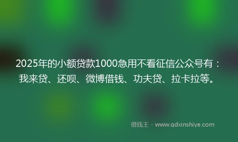 2025年的小额贷款1000急用不看征信公众号有：我来贷、还呗、微博借钱、功夫贷、拉卡拉等。