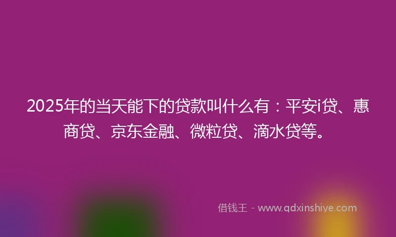 2025年的当天能下的贷款叫什么有：平安i贷、惠商贷、京东金融、微粒贷、滴水贷等。