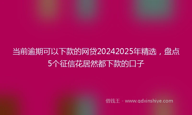 当前逾期可以下款的网贷20242025年精选，盘点5个征信花居然都下款的口子