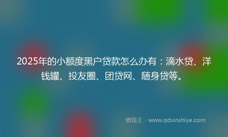 2025年的小额度黑户贷款怎么办有：滴水贷、洋钱罐、投友圈、团贷网、随身贷等。