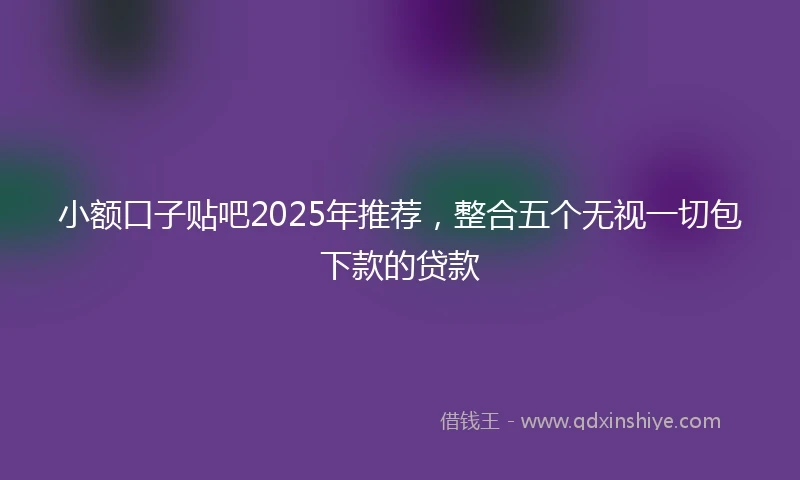 小额口子贴吧2025年推荐，整合五个无视一切包下款的贷款