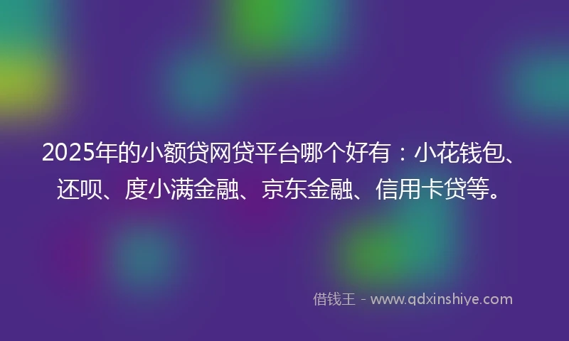 2025年的小额贷网贷平台哪个好有：小花钱包、还呗、度小满金融、京东金融、信用卡贷等。