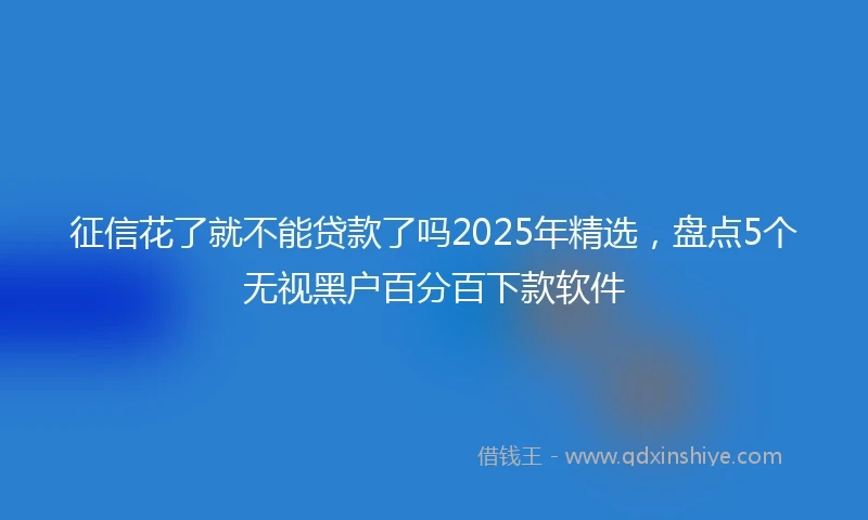 征信花了就不能贷款了吗2025年精选，盘点5个无视黑户百分百下款软件