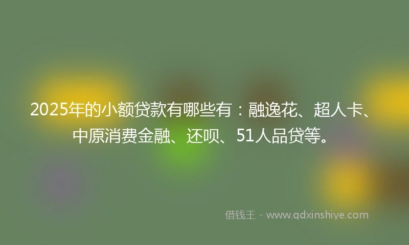 2025年的小额贷款有哪些有：融逸花、超人卡、中原消费金融、还呗、51人品贷等。