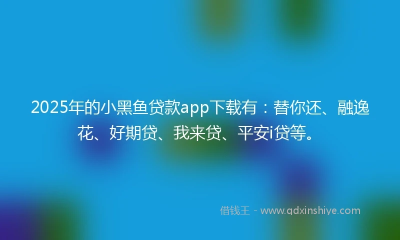 2025年的小黑鱼贷款app下载有：替你还、融逸花、好期贷、我来贷、平安i贷等。