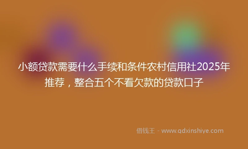 小额贷款需要什么手续和条件农村信用社2025年推荐，整合五个不看欠款的贷款口子