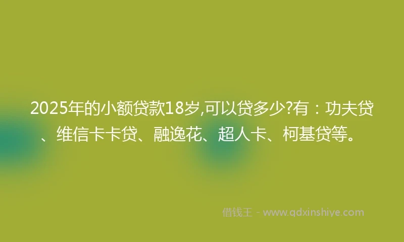 2025年的小额贷款18岁,可以贷多少?有：功夫贷、维信卡卡贷、融逸花、超人卡、柯基贷等。