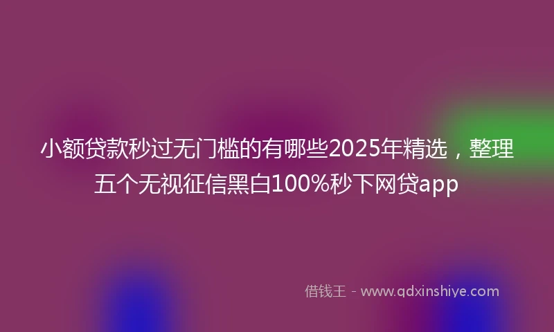 小额贷款秒过无门槛的有哪些2025年精选，整理五个无视征信黑白100%秒下网贷app