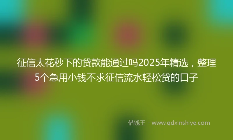 征信太花秒下的贷款能通过吗2025年精选,整理5个急用小钱不求征信流水轻松贷的口子