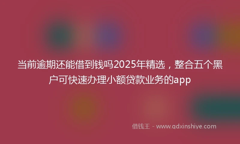 当前逾期还能借到钱吗2025年精选，整合五个黑户可快速办理小额贷款业务的app