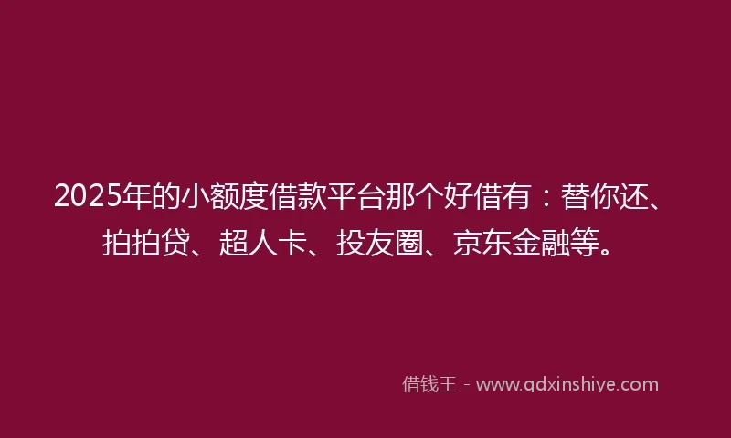 2025年的小额度借款平台那个好借有：替你还、拍拍贷、超人卡、投友圈、京东金融等。