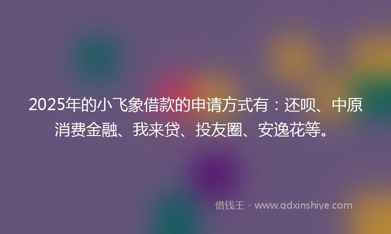 2025年的小飞象借款的申请方式有：还呗、中原消费金融、我来贷、投友圈、安逸花等。
