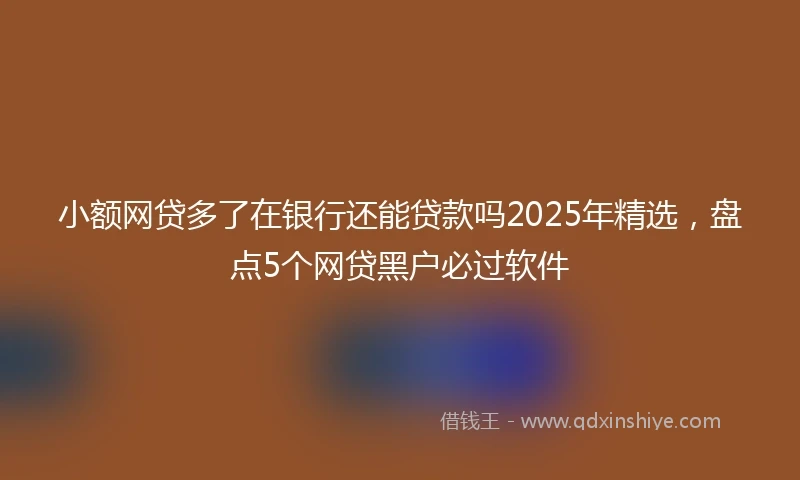 小额网贷多了在银行还能贷款吗2025年精选，盘点5个网贷黑户必过软件