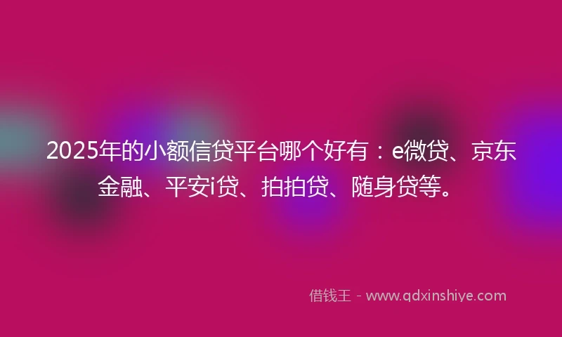 2025年的小额信贷平台哪个好有：e微贷、京东金融、平安i贷、拍拍贷、随身贷等。