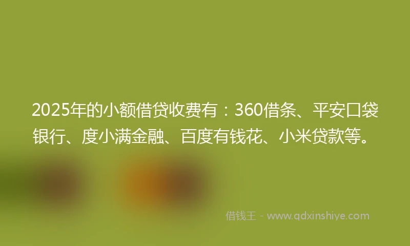 2025年的小额借贷收费有：360借条、平安口袋银行、度小满金融、百度有钱花、小米贷款等。