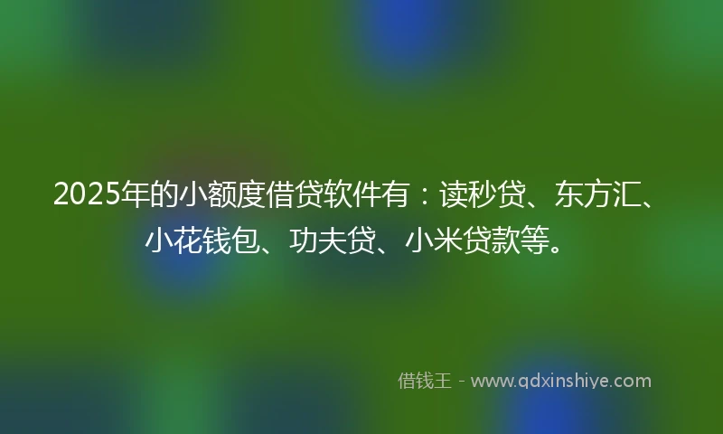 2025年的小额度借贷软件有：读秒贷、东方汇、小花钱包、功夫贷、小米贷款等。
