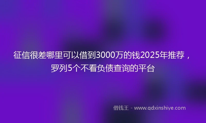 征信很差哪里可以借到3000万的钱2025年推荐，罗列5个不看负债查询的平台