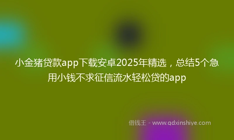 小金猪贷款app下载安卓2025年精选，总结5个急用小钱不求征信流水轻松贷的app