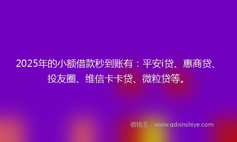 2025年的小额借款秒到账有：平安i贷、惠商贷、投友圈、维信卡卡贷、微粒贷等。