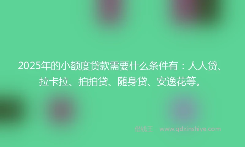 2025年的小额度贷款需要什么条件有：人人贷、拉卡拉、拍拍贷、随身贷、安逸花等。