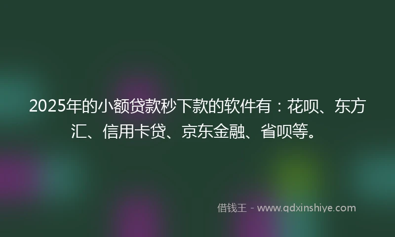 2025年的小额贷款秒下款的软件有：花呗、东方汇、信用卡贷、京东金融、省呗等。