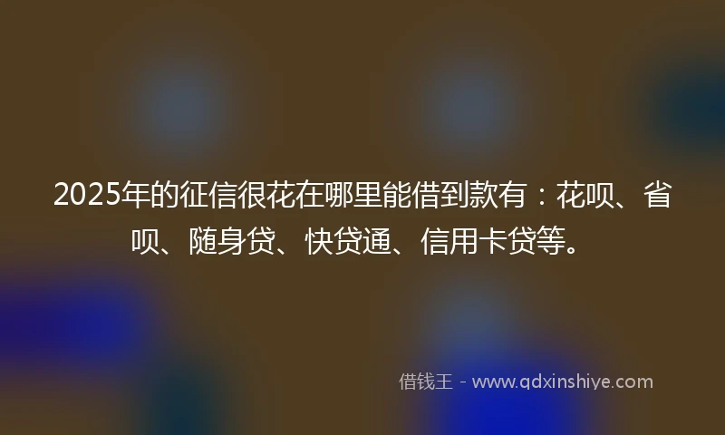 2025年的征信很花在哪里能借到款有：花呗、省呗、随身贷、快贷通、信用卡贷等。