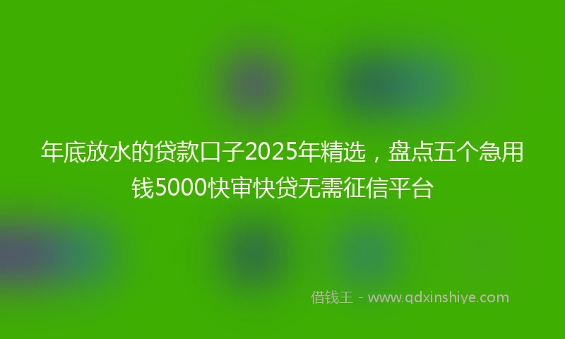年底放水的贷款口子2025年精选，盘点五个急用钱5000快审快贷无需征信平台