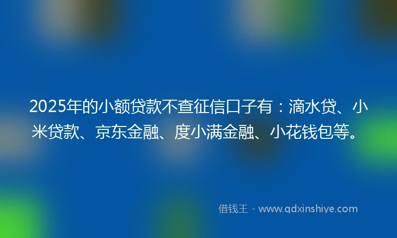 2025年的小额贷款不查征信口子有：滴水贷、小米贷款、京东金融、度小满金融、小花钱包等。