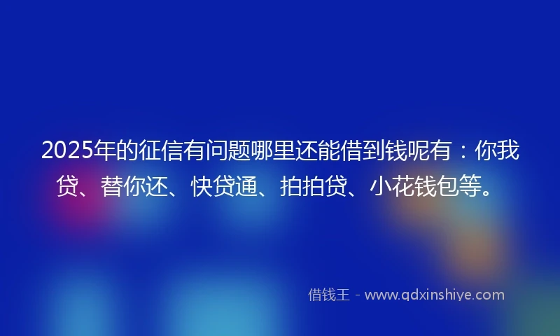 2025年的征信有问题哪里还能借到钱呢有：你我贷、替你还、快贷通、拍拍贷、小花钱包等。