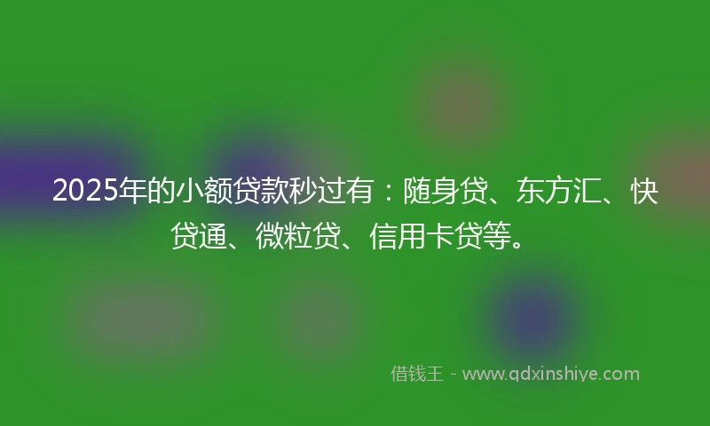 2025年的小额贷款秒过有：随身贷、东方汇、快贷通、微粒贷、信用卡贷等。