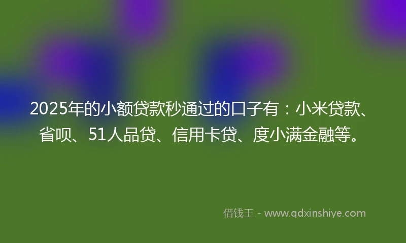 2025年的小额贷款秒通过的口子有：小米贷款、省呗、51人品贷、信用卡贷、度小满金融等。