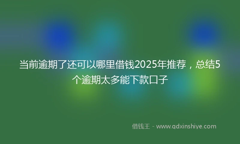当前逾期了还可以哪里借钱2025年推荐，总结5个逾期太多能下款口子