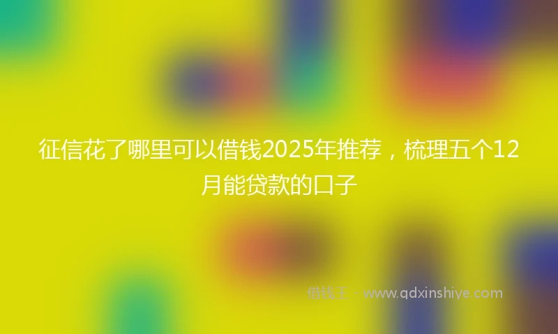 征信花了哪里可以借钱2025年推荐，梳理五个12月能贷款的口子