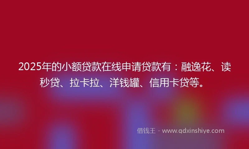 2025年的小额贷款在线申请贷款有：融逸花、读秒贷、拉卡拉、洋钱罐、信用卡贷等。
