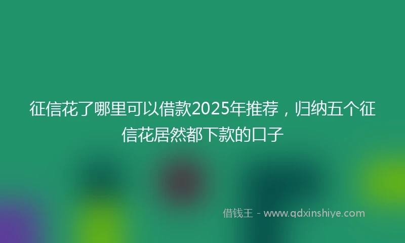 征信花了哪里可以借款2025年推荐，归纳五个征信花居然都下款的口子