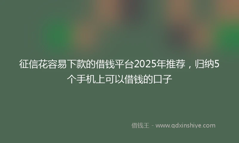 征信花容易下款的借钱平台2025年推荐，归纳5个手机上可以借钱的口子