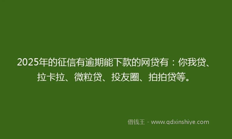 2025年的征信有逾期能下款的网贷有：你我贷、拉卡拉、微粒贷、投友圈、拍拍贷等。