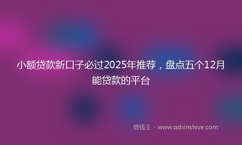 小额贷款新口子必过2025年推荐，盘点五个12月能贷款的平台