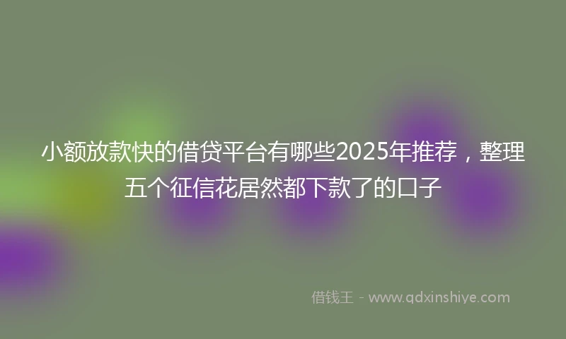 小额放款快的借贷平台有哪些2025年推荐，整理五个征信花居然都下款了的口子