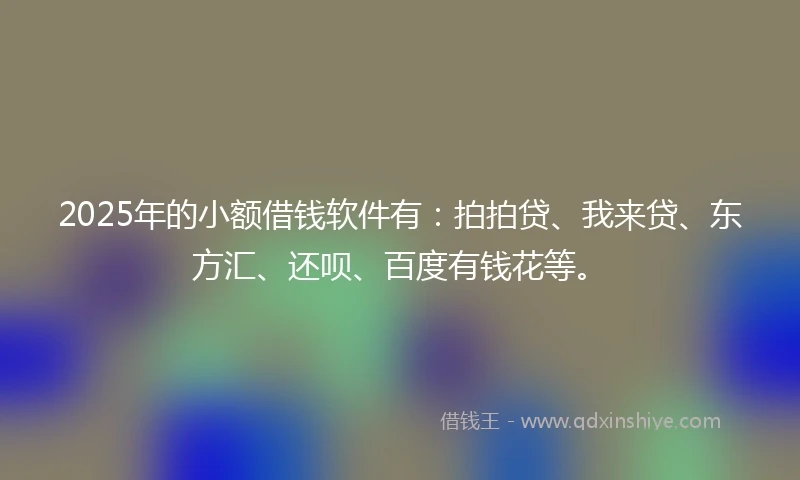 2025年的小额借钱软件有：拍拍贷、我来贷、东方汇、还呗、百度有钱花等。