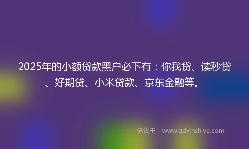 2025年的小额贷款黑户必下有：你我贷、读秒贷、好期贷、小米贷款、京东金融等。