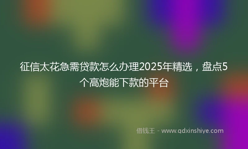 征信太花急需贷款怎么办理2025年精选，盘点5个高炮能下款的平台