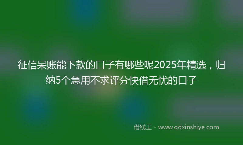 征信呆账能下款的口子有哪些呢2025年精选，归纳5个急用不求评分快借无忧的口子