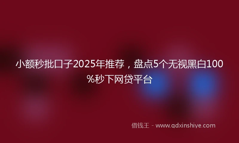 小额秒批口子2025年推荐，盘点5个无视黑白100%秒下网贷平台