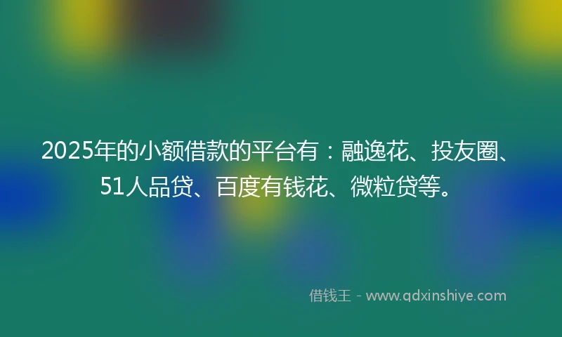 2025年的小额借款的平台有：融逸花、投友圈、51人品贷、百度有钱花、微粒贷等。