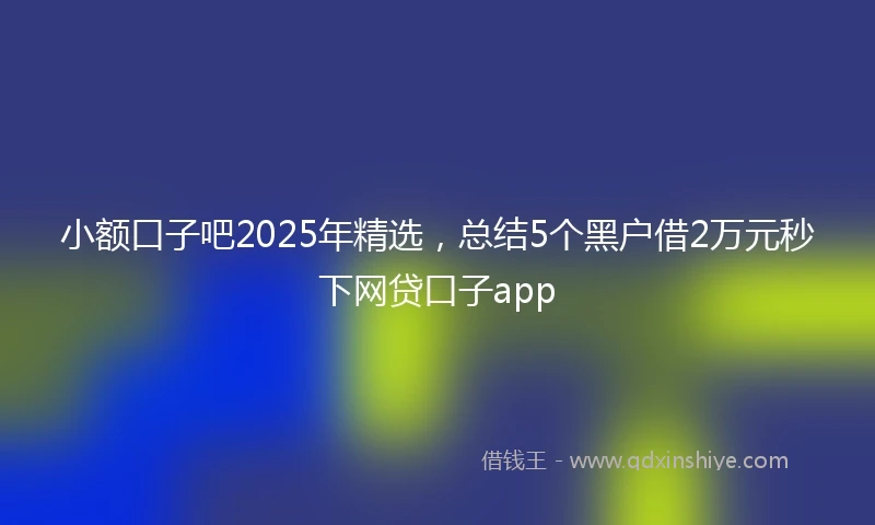 小额口子吧2025年精选，总结5个黑户借2万元秒下网贷口子app